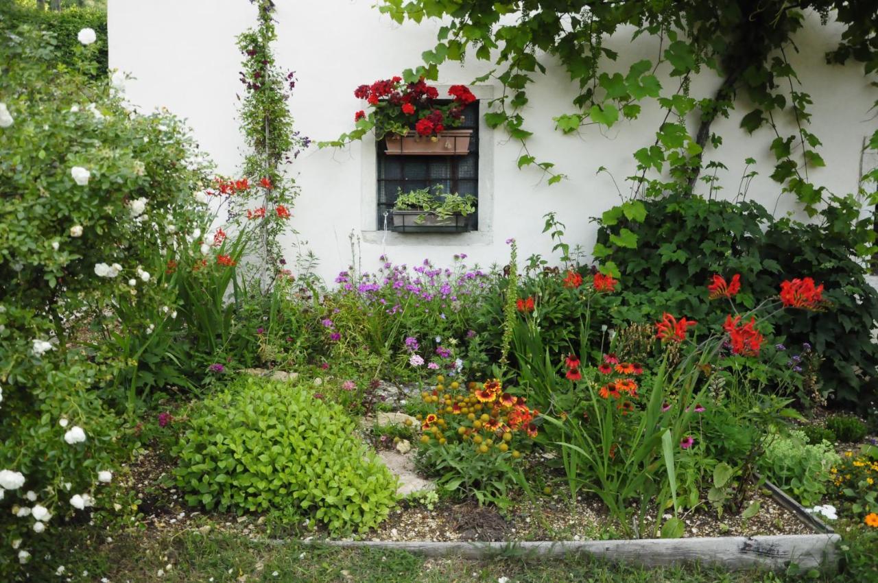Il Sanco Bed & Breakfast Selva di Progno Bagian luar foto