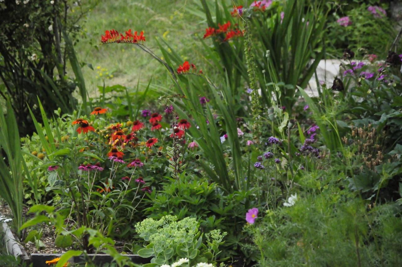 Il Sanco Bed & Breakfast Selva di Progno Bagian luar foto