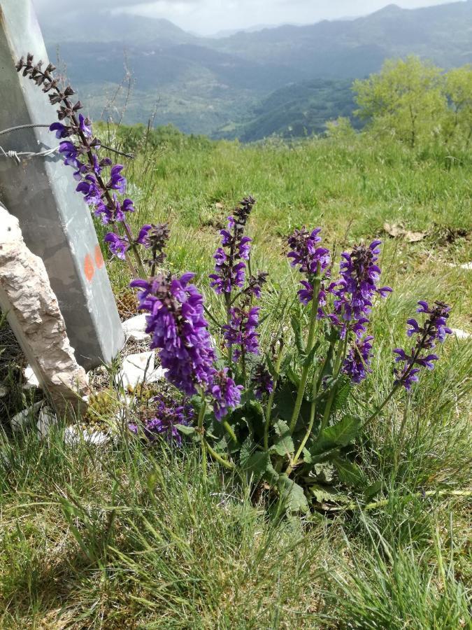 Il Sanco Bed & Breakfast Selva di Progno Bagian luar foto